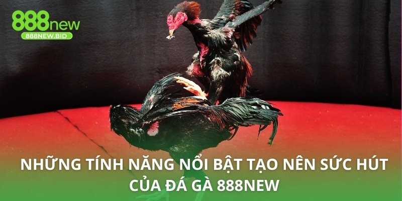 Những tính năng nổi bật tạo nên sức hút của đá gà 888NEW