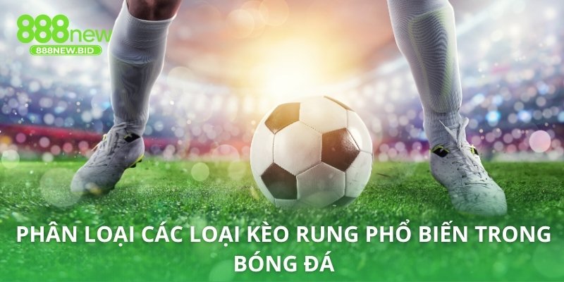 Phân loại các loại kèo rung phổ biến trong bóng đá